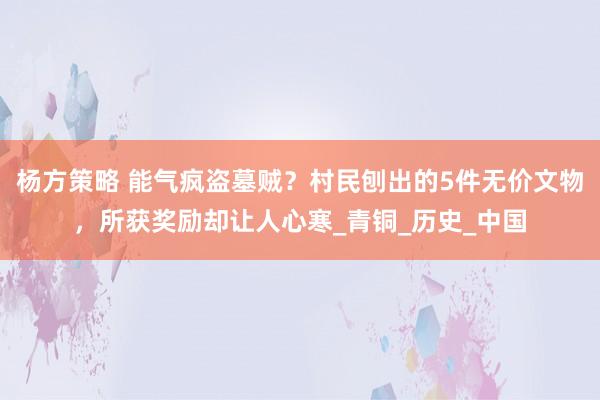 杨方策略 能气疯盗墓贼？村民刨出的5件无价文物，所获奖励却让人心寒_青铜_历史_中国