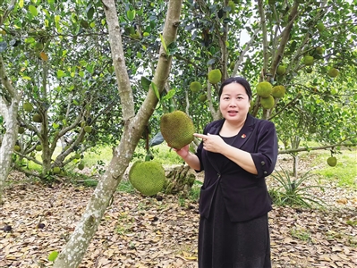 恒信期货 劳模风采·广东省劳动模范｜彭子玲：劳模村支书退桉种果有“蜜方”