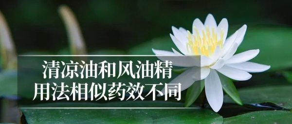 富农优配资源 夏日解暑药，你用对了吗？