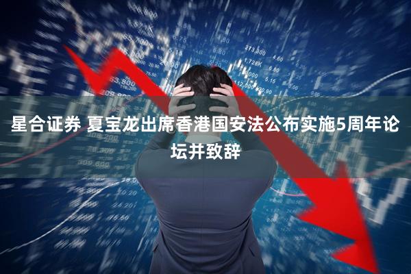 星合证券 夏宝龙出席香港国安法公布实施5周年论坛并致辞